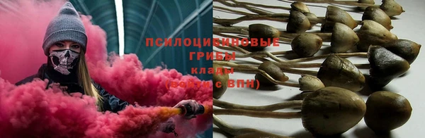 a pvp Богданович