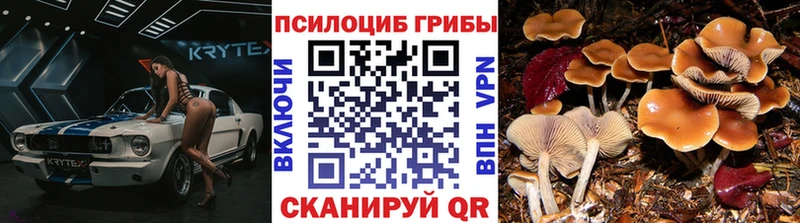 Галлюциногенные грибы Psilocybine cubensis Старый Оскол